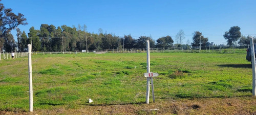 Parcela Cam A Coihueco Km17 Orilla Pavimento (99161)