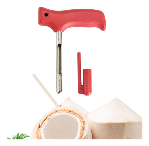 Abridor De Carne De Coco De Acero Inoxidable, Para Cocos