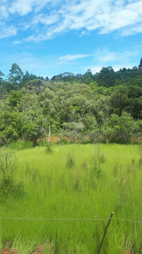 Imagem 7 de 9 de Af Terrenos Com Lagos