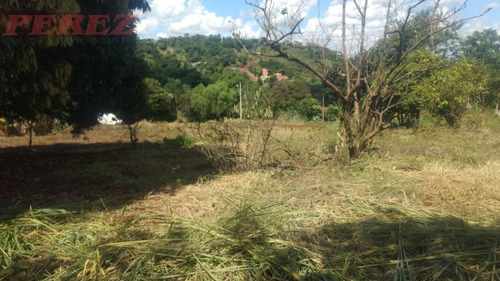Chácaras_sítios_fazendas Para Venda - 13650.7749