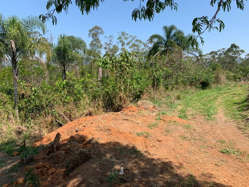 Imagem 10 de 12 de Jl-terreno Invista Na Sua Família