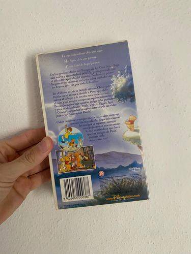 Winnie Pooh: Su Gran Aventura Película Vhs Animada Disney (Usado)