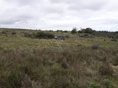 Campo 21 Has En Paraje José Ignacio