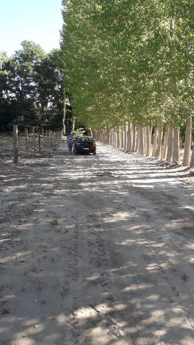 Terreno En Alamos Del Valle, Uspallate, Las Heras