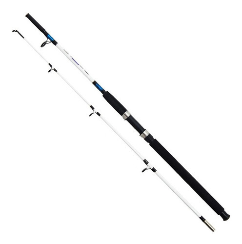 Vara Saint Pantanal 1802-sp 30-60lbs 1,80m 2 Partes