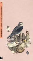 Comprar Que Paraiso E Esse? - 02edu002F21: Que Paraíso É Esse?, De Borri, Francesca. Série Viagem E Turismo, Vol. Guias. Editora Ayine Editora, Capa Mole, Edição Guias Em Português, 20