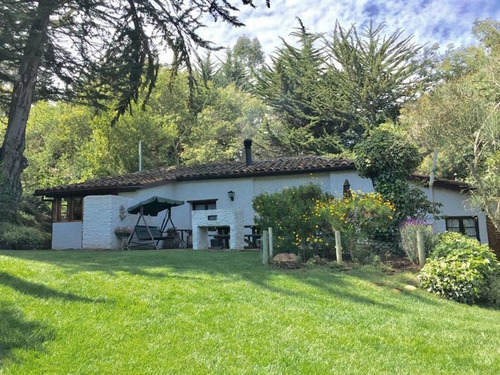 Imagen 16 de 24 de Agrícola En Venta En Algarrobo