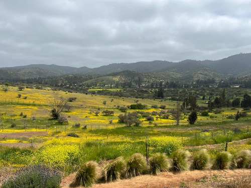 Hermosa Parcela De Agrado En Cuncumén, San Antonio