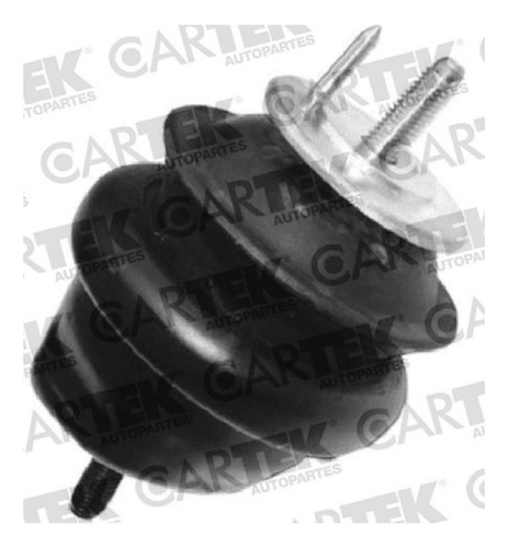 Soporte Motor Trasero Continental 2001-2002 V6 4.6 Derecho