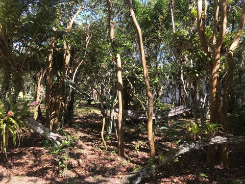 Imagem 20 de 30 de Garagem À Venda Em Florianópolis/sc - Ps07