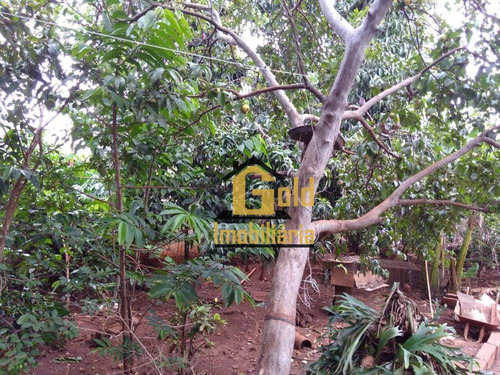 Casa Com 3 Dormitórios Para Venda, 238 M² Por R$ 330.000,00/ - Monte Alegre - Ribeirão Preto/sp - Ca0744