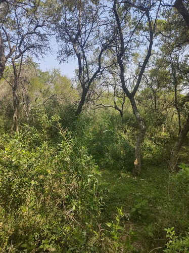 Imagen 14 de 15 de En Venta Chacra Mojones Norte 10.5 Ha