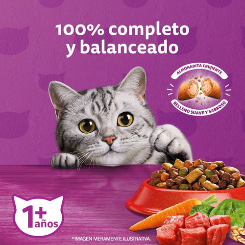 Alimento Whiskas 1+ Whiskas Gatos para gato adulto sabor carne en bolsa de 10 kg