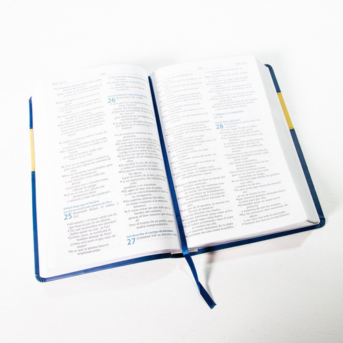 Biblia Rvr 95 - Diácono Y Diaconisa