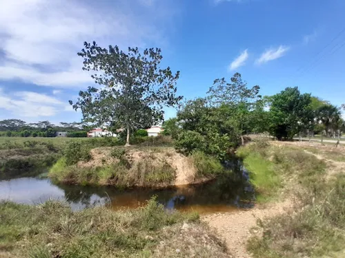 Lotes En Venta Vereda Pompeya 462-1083