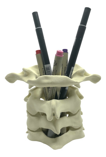 Portalápices Vértebras Temática Medicina Kinesiología 