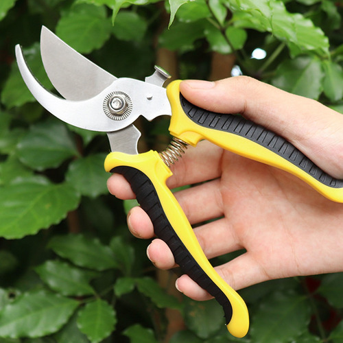 Imagen 6 de 9 de Tijeras De Podar Para Jardinería Sk5 Podar Frutas