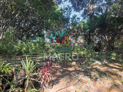 Terreno En Venta En Col. Emiliano Zapata Con Conexion A Servicios Cerca Del Centro De Cuautla Excelente Oportunidad De Inversión