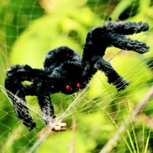 Imagen 5 de 5 de Arañas Gigante Negra Halloween 75cm Profesional Decorativa