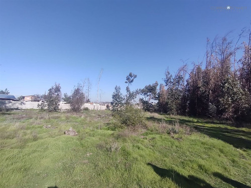 Terreno Construccion En Venta En Olivar