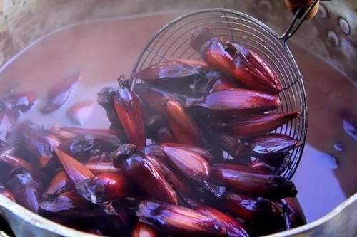 Pinhão: semente, castanha ou fruto?, Terra da Gente