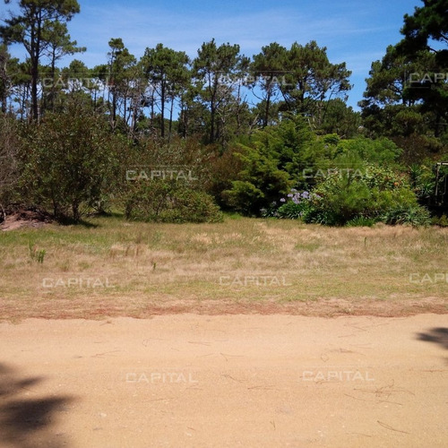 Imagen 3 de 8 de Terreno En Venta, En Balneario El Caracol, Laguna Garzón - Garzón Laguna Garzón