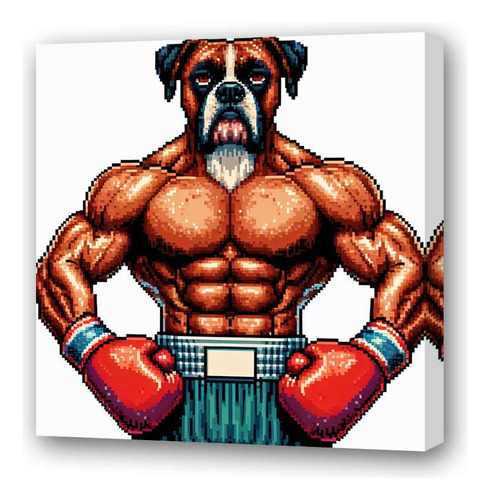Cuadro 30x30cm Boxer Perro Boxeador Con Guantes Pelea