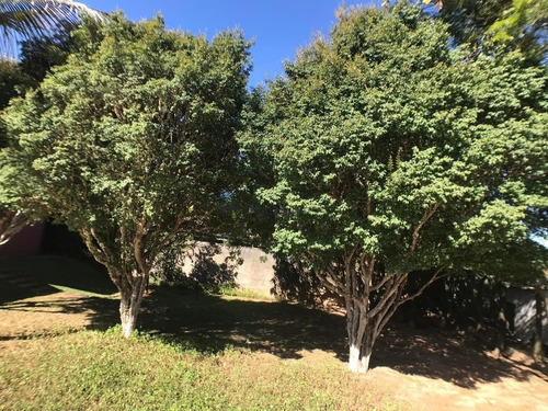 Casa Com 4 Dormitórios À Venda, 410 M² Por R$ 2.500.000,00 - Parque Xangrilá - Campinas/sp - Ca4020