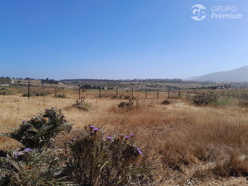 Agrícola En Venta En Quintero