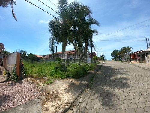 Terreno - Jardim Angelica - Ref: 29106 - V-29104