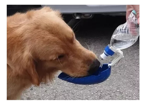 Bebedouro Portátil Pet Para Cachorro/ Gato Passeio E Viagens Cor Azul
