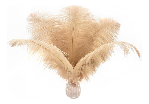 Ballinger Plumas De Avestruz Champan A Granel, 24 Plumas Boh