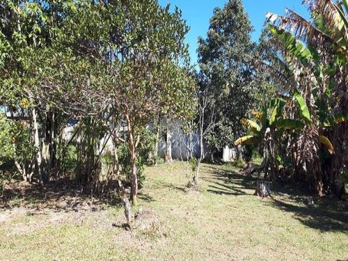 Imagem 2 de 7 de Cod 3617 - 1.000 M² De Frente Para O Asfalto! - 3617