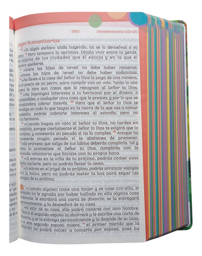 Biblia Infantil Siempre Conmigo Rv Contemporánea Dura