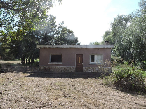 Imagen 7 de 8 de Chacra En Venta En La Zona De Mas Desarrollo De San Pedro