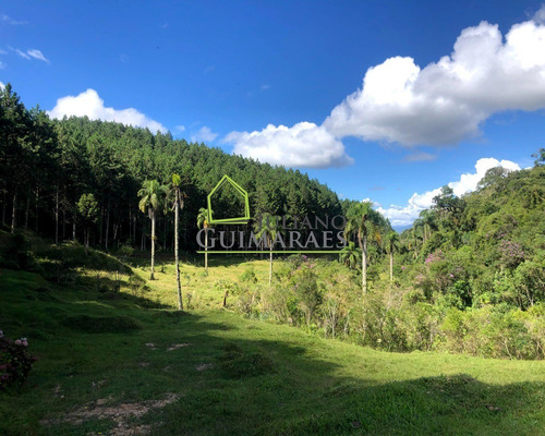 Imagem 21 de 30 de Rancho Queimado Sc - Lindo Terreno Á Venda Com 3 Hectares Em Residencial Fechado - Te00048 - 70795800