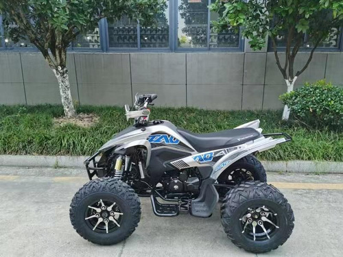 Imagen 6 de 21 de Cuatrimoto Predator 250cc Deportiva Mecanica 16hp. 0 Kl 2023