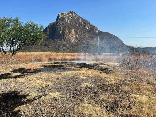 Venta De Terreno En Tenango, Jantetelco, Morelos, En Carr. Fed. Cuautla-izucar