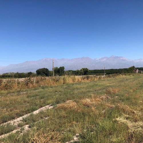 Venta | Terreno | Vista Flores | Tunuyán | Valle De Uco | 2.178 M2