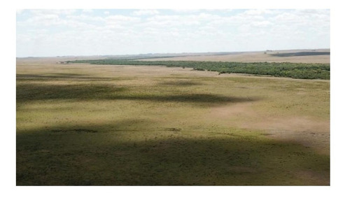 Imagen 1 de 10 de Terreno Campo En Venta Ubicado En Río Negro, Río Negro