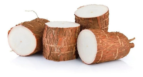 10 Ramas Manivas Aipim Macaxeira Mandioca Macia E Suculenta