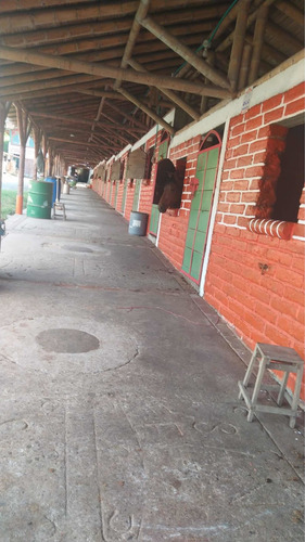 Imagen 9 de 14 de Venta Rancho San Felipe Pesebreras Y Eventos En Manizales