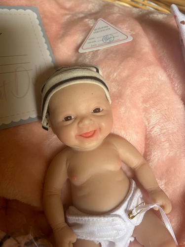 Muñeca Bebé Reborn Silicona Miaio 25 Cm (Usado)