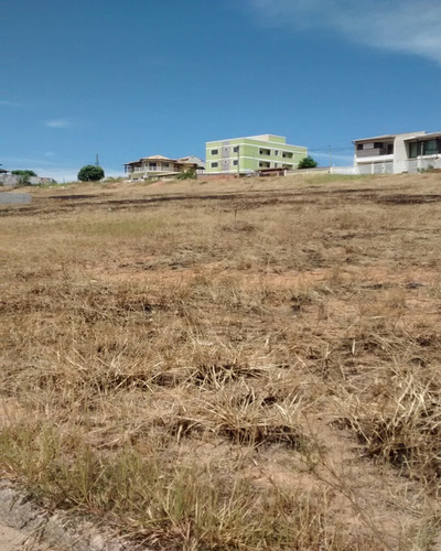 Imagem 17 de 19 de Terrenos A Venda No Bairro Maria Turri. Parcelamento Direto Com A Construtora - 153 - 32564941