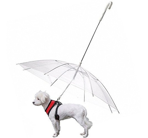 Paraguas Para Perros Pequeños Con Correa Transparente 