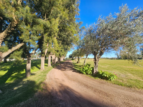 Venta De Casa En Hermosa Chacra Sobre Ruta 21