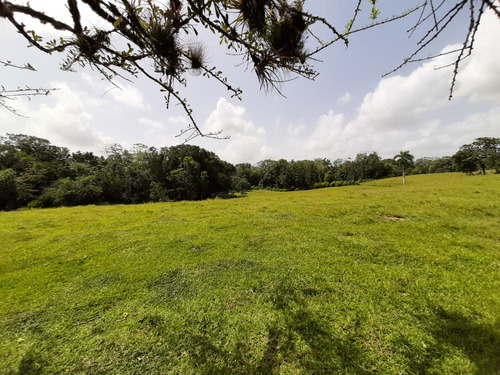 Terreno En Monte Plata 