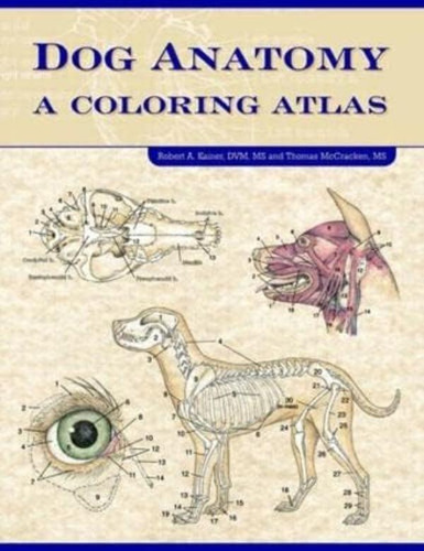 Dog Anatomy: A Coloring Atlas, De Kainer, Robert. Editorial Teton Newmedia, Tapa Dura En Inglés