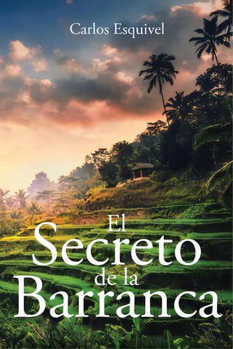 El Secreto De La Barranca, De Esquivel, Carlos. Editorial Page Pub Inc, Tapa Blanda En Español