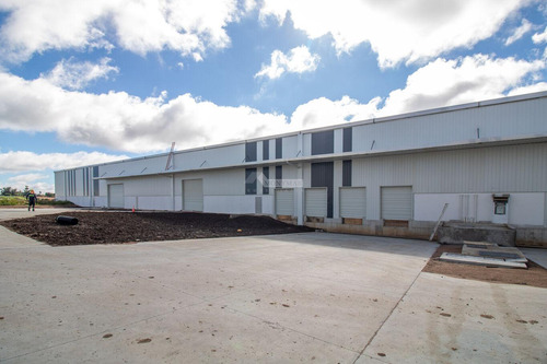 Alquiler Local Galpon Deposito Paso De La Arena Camino Bajo La Petisa 1200m2 Rampa Muelles De Carga